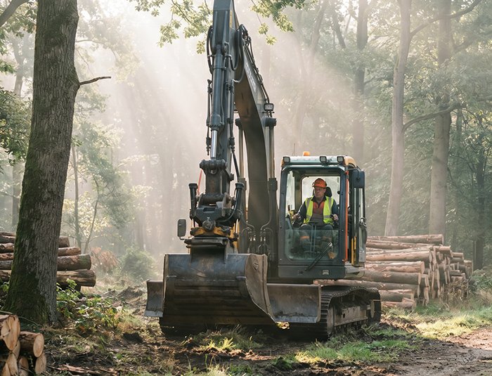 Excavator is Replacing the Chainsaw