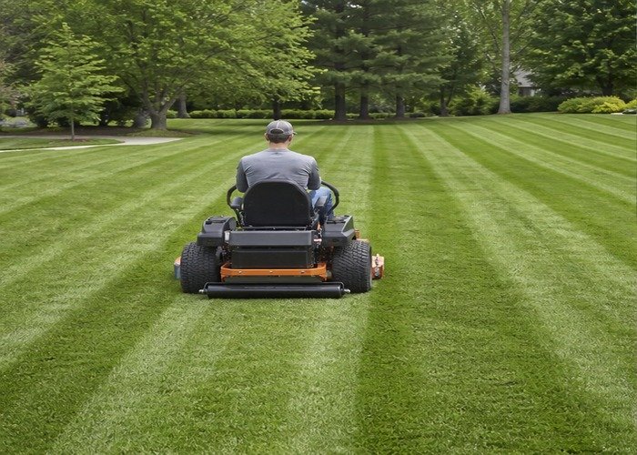 Zero-turn mower producing straight alternating stripes on a large lawn