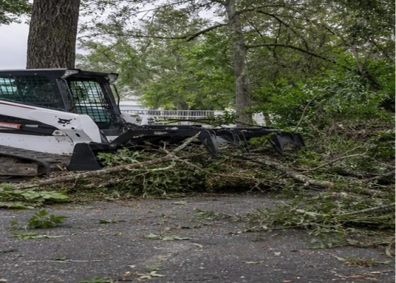 Skid steer grapple collecting fallen branches after storm cleanup