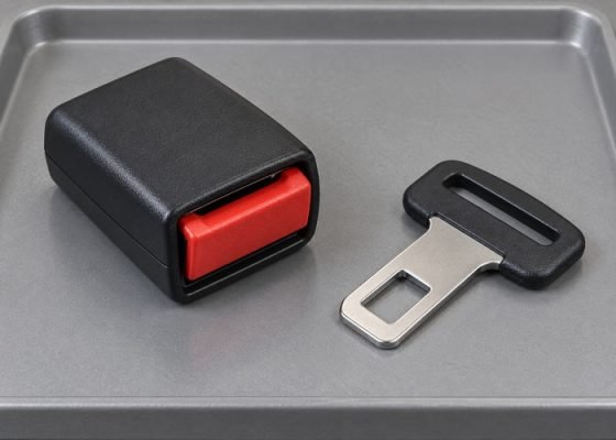 Illustrative separate restraint buckle and matching tongue on inspection tray