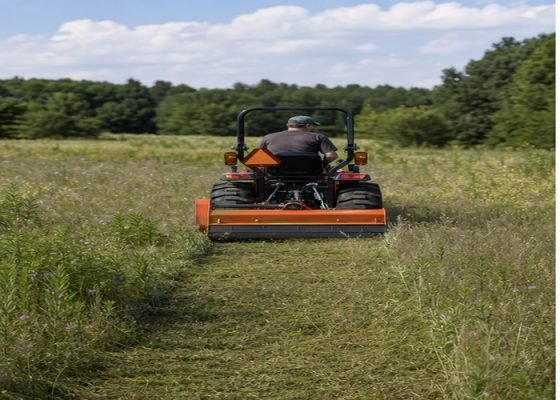 Compact tractor cutting tall mixed grass with a rear flail mower
